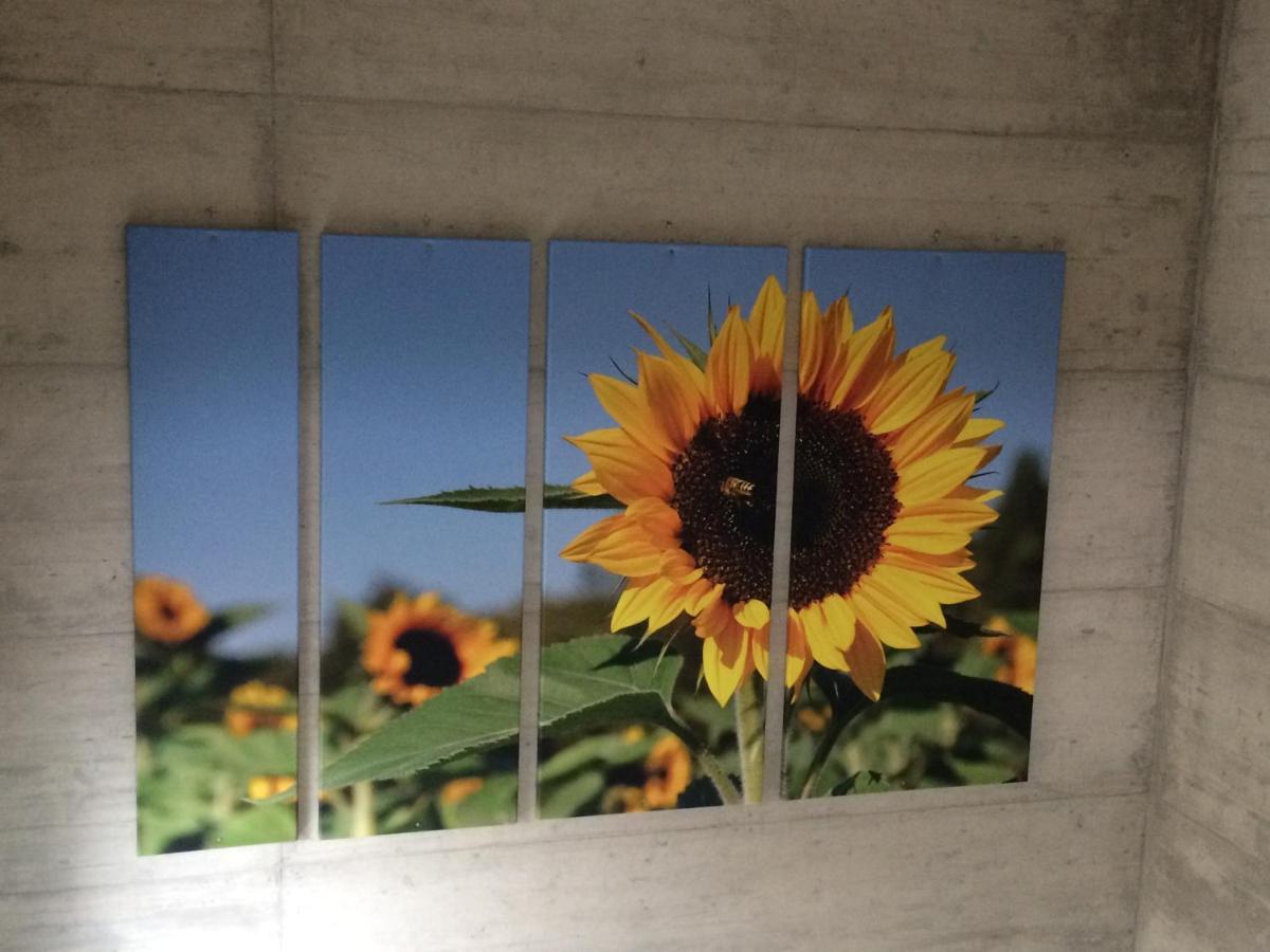 Gaestehaus Sonne